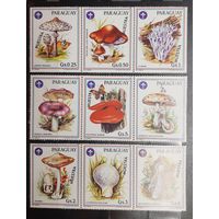 Парагвай. Флора. Грибы. 3 сцепки (9 марок) (970)