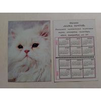 Карманный календарик. Котик.1992 год