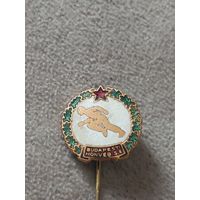 Спортивный клуб Хонвед Будапешт (Венгрия)