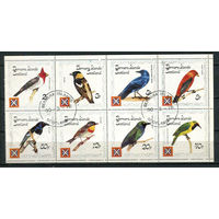 Остров Бернера (Шотландия) - 1978 - Птицы - сцепка (непочтовые марки) - полная серия - 8 марок. Гашеные.  (Лот 41HS)-TG3P10