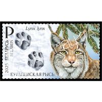 2025 БЕЛАРУСЬ Марка "Следы зверей" MNH