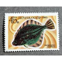 Марка СССР 1983 год Рыба