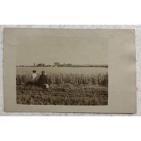 Первая Мировая, Западный театр военных действий, германская полевая почта, Feldpost, 4.08.1916