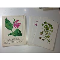 Набор открыток . Растения под охраной .