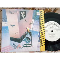 Виниловая пластинка АЛЛА ПУГАЧЕВА. 7"