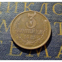 3 копейки 1981 СССР #24