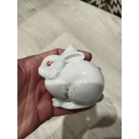 Зайка,спилено ушко