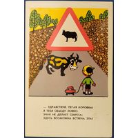 Здравствуй пегая коровка! Худ.В.Гинуков. Чистая. 1976 г.