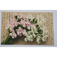 1908 год Либава Открытка