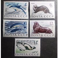 Марки СССР 1971 год Фауна