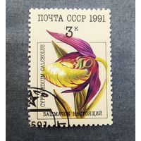 Марка СССР 1991 год Орхидеи