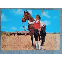 Этнография. Португалия, Рибатежу. Пастух быков