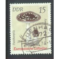 ГЕРМАНИЯ, ГДР - 1974 [Mi. 1935] Гашеная (DDR07)