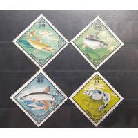 Монголия. 1975 год. Фауна. Рыбы (61)
