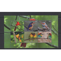 Малави 2012  Птицы