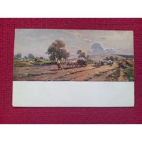 Васильковский. Шлях Ромодан. Гранберг. Царская открытка. Чистая.