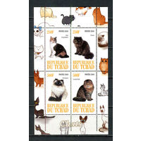 Чад - 2010 - Коты - 1 блок. MNH.  (Лот 58Jp)-T4P6