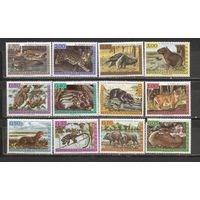 ФФ1 Венесуэла 1963 Фауна