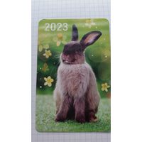 Календарик. Серый заяц на лужайке.2023