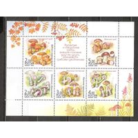 ФФ1 Россия 2003 Грибы