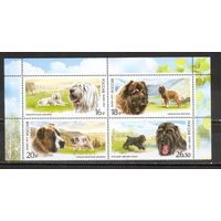 ФФ1 Россия 2015 Собаки