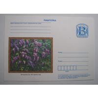 Карточки РБ. Ахремчик "Сирень". 2015г.