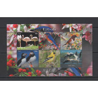 Малави 2012  Птицы