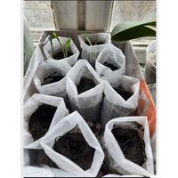 Мешки для рассады