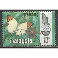 Малайские штаты(Паханг). Бабочка белянка. 1971г. Mi#87.