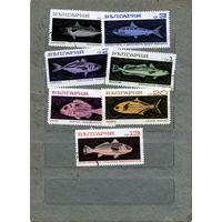БОЛГАРИЯ, 1969,  РЫБЫ,  7м, гашен
