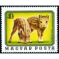 Дикие животные Венгрия 1976 год 1 марка